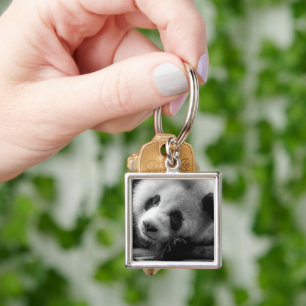 Cutest Baby Animals   Giant Panda Bear Cub Keychain