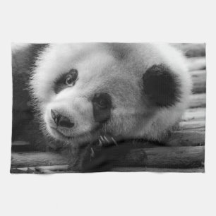 Cutest Baby Animals   Giant Panda Bear Cub Kitchen Towel