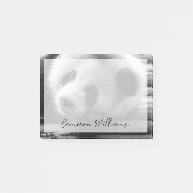 Cutest Baby Animals | Giant Panda Bear Cub Post-it Notes (Front)