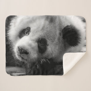 Cutest Baby Animals   Giant Panda Bear Cub Sherpa Blanket