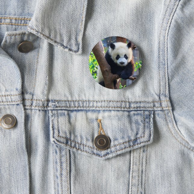 Cutest Baby Animals | Giant Panda Cub 2 Inch Round Button (In Situ)