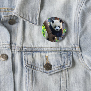Cutest Baby Animals   Giant Panda Cub 2 Inch Round Button
