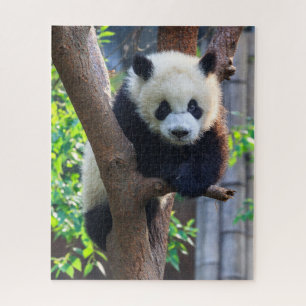 Cutest Baby Animals   Giant Panda Cub Jigsaw Puzzle