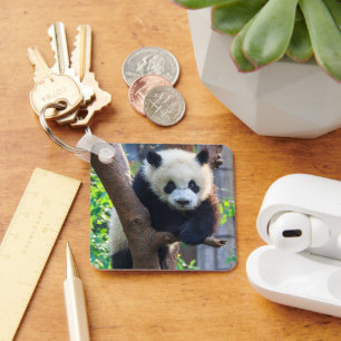 Cutest Baby Animals   Giant Panda Cub Keychain