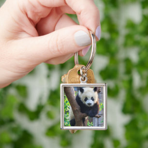 Cutest Baby Animals   Giant Panda Cub Keychain
