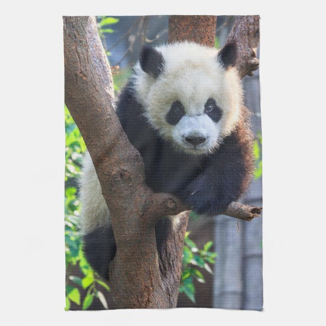 Cutest Baby Animals | Giant Panda Cub Kitchen Towel (Vertical)