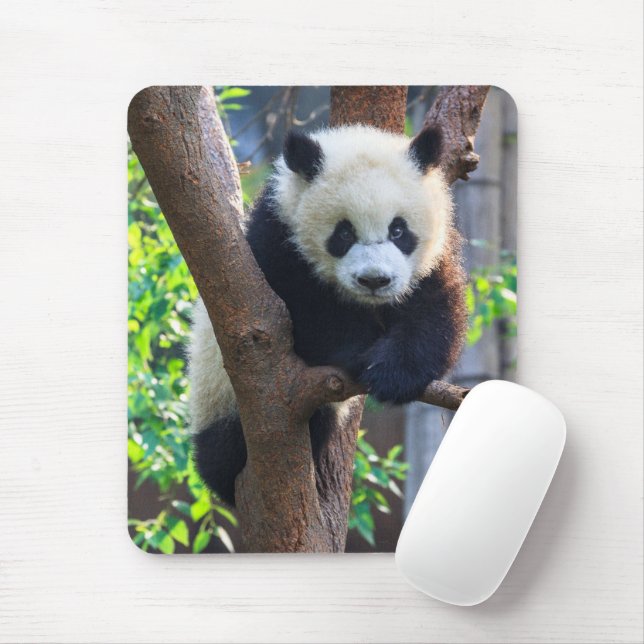 Cutest Baby Animals | Giant Panda Cub Mouse Pad (With Mouse)