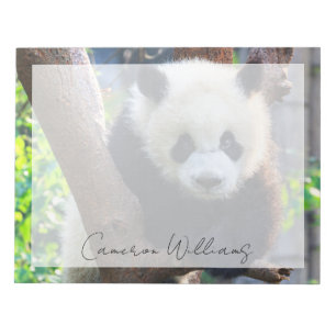 Cutest Baby Animals   Giant Panda Cub Notepad