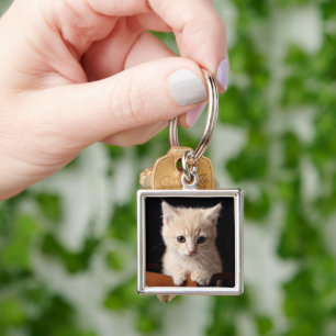 Cutest Baby Animals Ginger Kitten Keychain