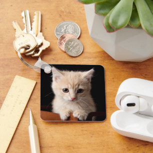 Cutest Baby Animals Ginger Kitten Keychain