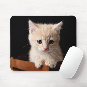 Cutest Baby Animals Ginger Kitten Mouse Pad