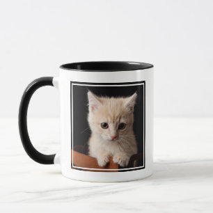 Cutest Baby Animals Ginger Kitten Mug