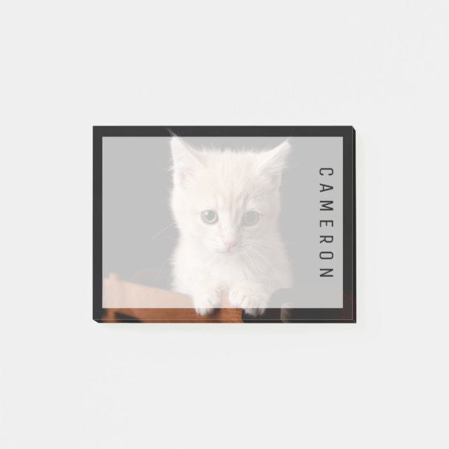 Cutest Baby Animals | Ginger Kitten Post-it Notes (Front)