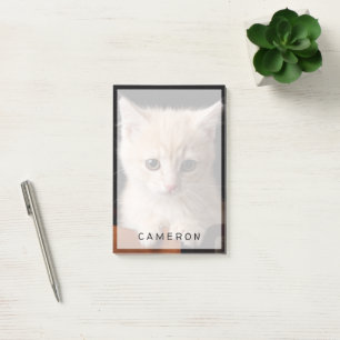Cutest Baby Animals Ginger Kitten Post-it Notes