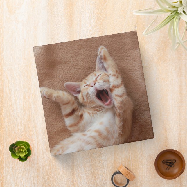 Cutest Baby Animals | Ginger Kitten Yawning Binder (In Situ)