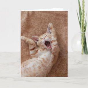 Cutest Baby Animals   Ginger Kitten Yawning Card