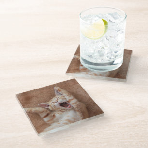 Cutest Baby Animals   Ginger Kitten Yawning Glass Coaster