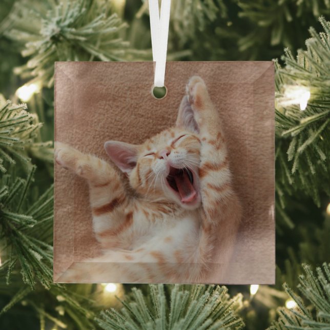 Cutest Baby Animals | Ginger Kitten Yawning Glass Ornament (Insitu)