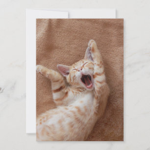 Cutest Baby Animals   Ginger Kitten Yawning Thank You Card