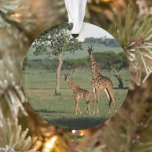 Cutest Baby Animals Giraffe Calf & Mama Ornament