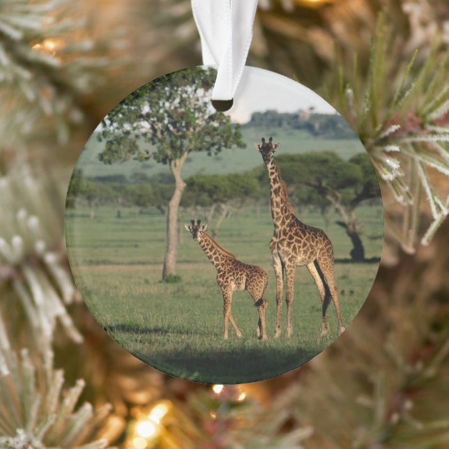 Cutest Baby Animals | Giraffe Calf & Mama Ornament (Tree)