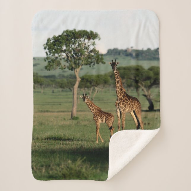 Cutest Baby Animals | Giraffe Calf & Mama Sherpa Blanket (Front)