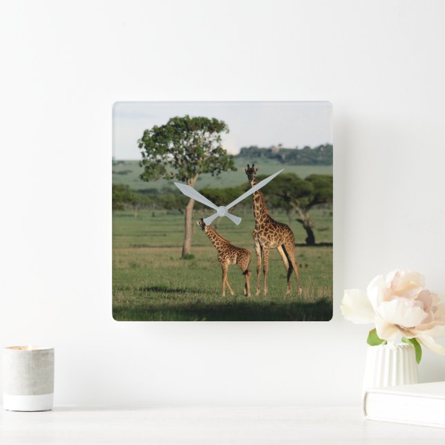 Cutest Baby Animals | Giraffe Calf & Mama Square Wall Clock (Home)