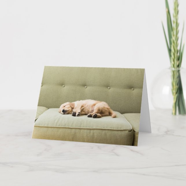 Cutest Baby Animals | Golden Retriever Puppy 2 Card (Front)