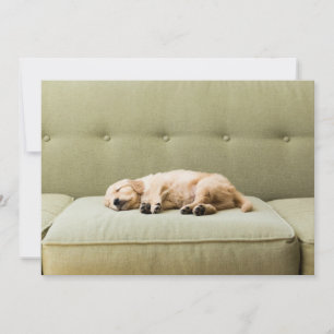 Cutest Baby Animals Golden Retriever Puppy 2 Thank You Card