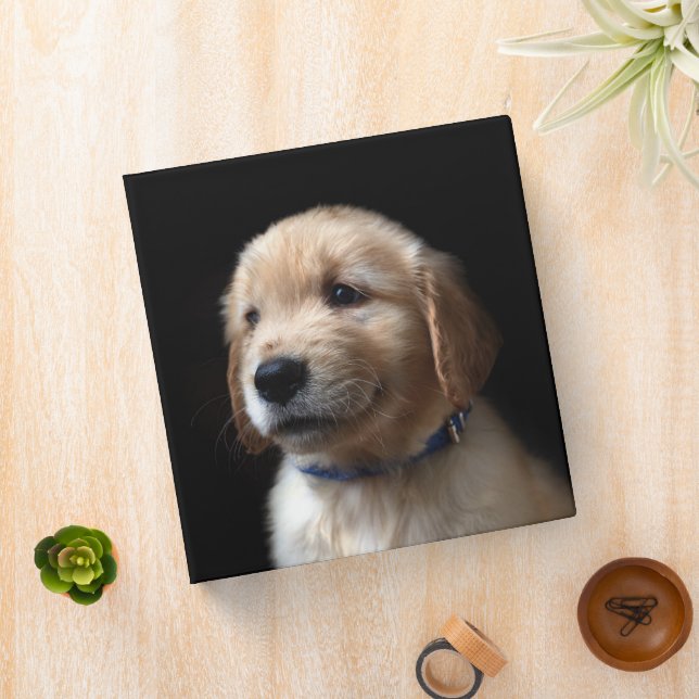 Cutest Baby Animals | Golden Retriever Puppy Binder (In Situ)
