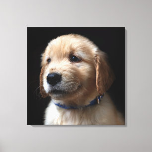 Cutest Baby Animals   Golden Retriever Puppy Canvas Print