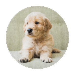 Cutest Baby Animals Golden Retriever Puppy Cutting Board