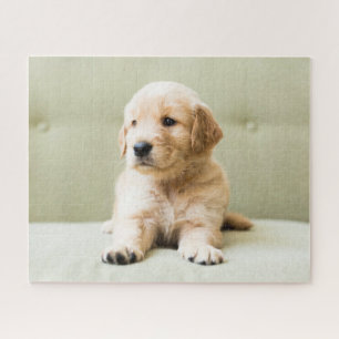 Cutest Baby Animals Golden Retriever Puppy Jigsaw Puzzle