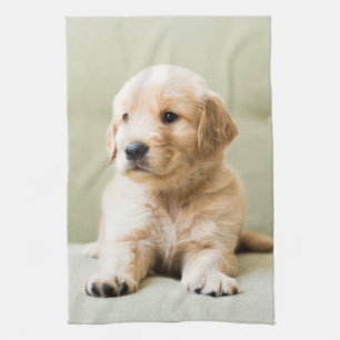 Cutest Baby Animals   Golden Retriever Puppy Kitchen Towel