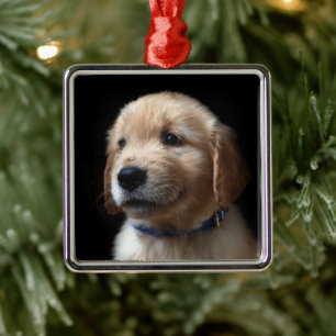 Cutest Baby Animals   Golden Retriever Puppy Metal Ornament