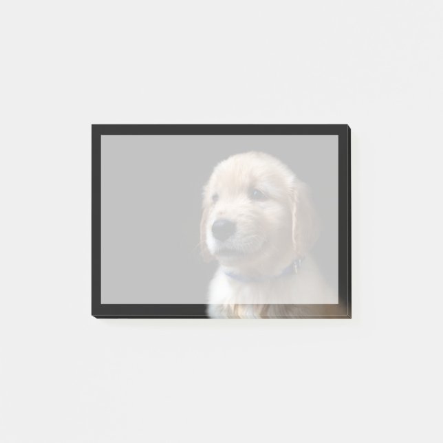 Cutest Baby Animals | Golden Retriever Puppy Post-it Notes (Front)
