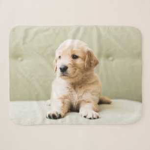 Cutest Baby Animals Golden Retriever Puppy Sherpa Blanket