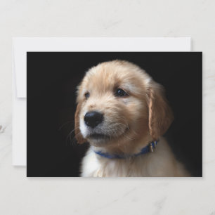 Cutest Baby Animals   Golden Retriever Puppy Thank You Card