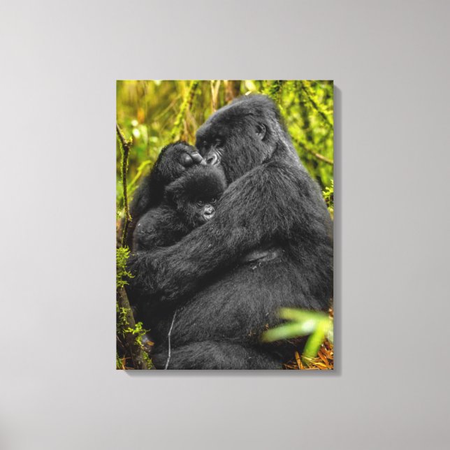 Cutest Baby Animals | Gorilla & Baby Canvas Print (Front)