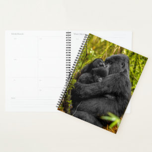 Cutest Baby Animals   Gorilla & Baby Planner