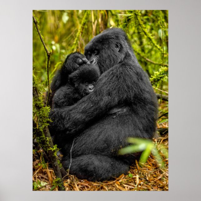 Cutest Baby Animals | Gorilla & Baby Poster (Front)