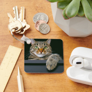 Cutest Baby Animals   Gray Tabby Cat Face Keychain