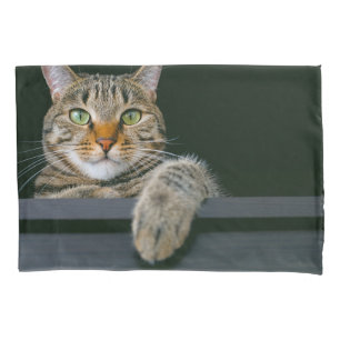 Cutest Baby Animals   Gray Tabby Cat Face Pillowcase