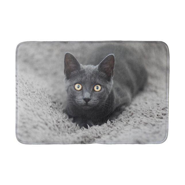 Cutest Baby Animals | Grey Cat Bath Mat (Front)