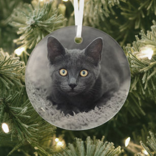 Cutest Baby Animals   Grey Cat Glass Ornament