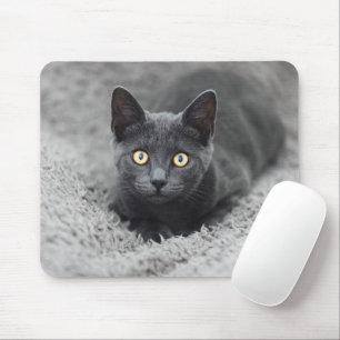 Cutest Baby Animals Grey Cat Mouse Pad