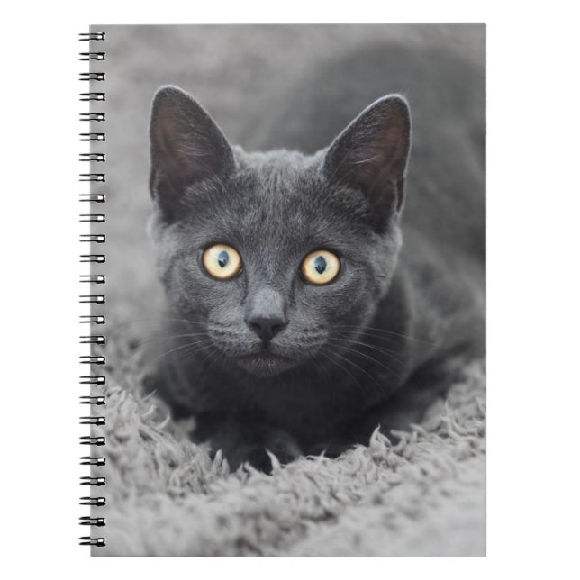 Cutest Baby Animals | Grey Cat Notebook (Front)