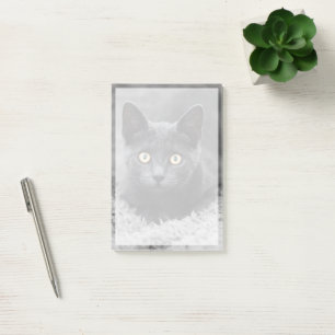 Cutest Baby Animals Grey Cat Post-it Notes