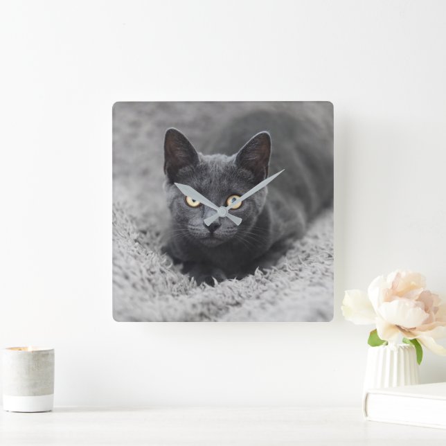 Cutest Baby Animals | Grey Cat Square Wall Clock (Home)
