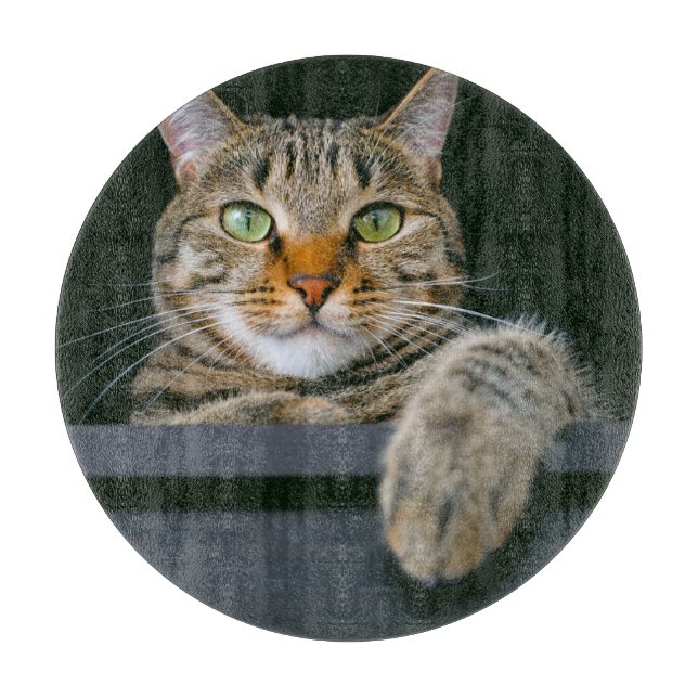 Cutest Baby Animals | Grey Tabby Cat Face Cutting Board (Front)